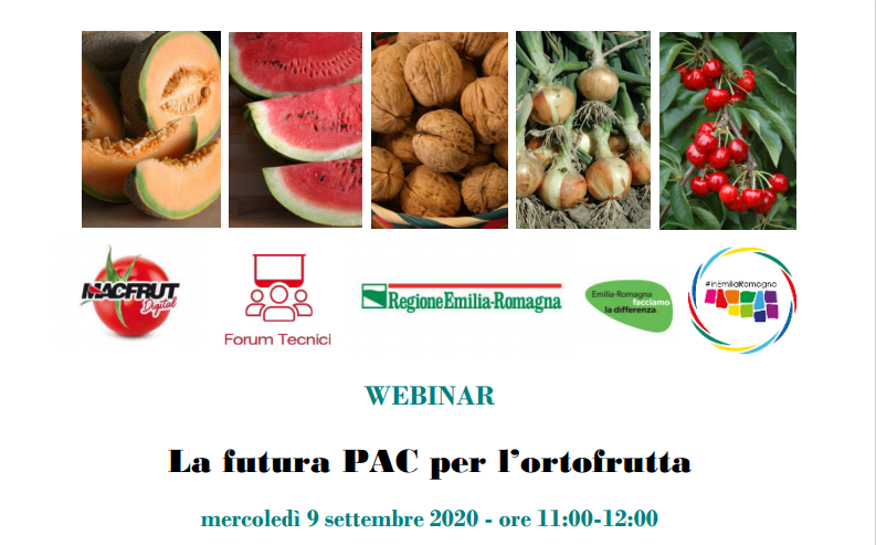 pac ortofrutta